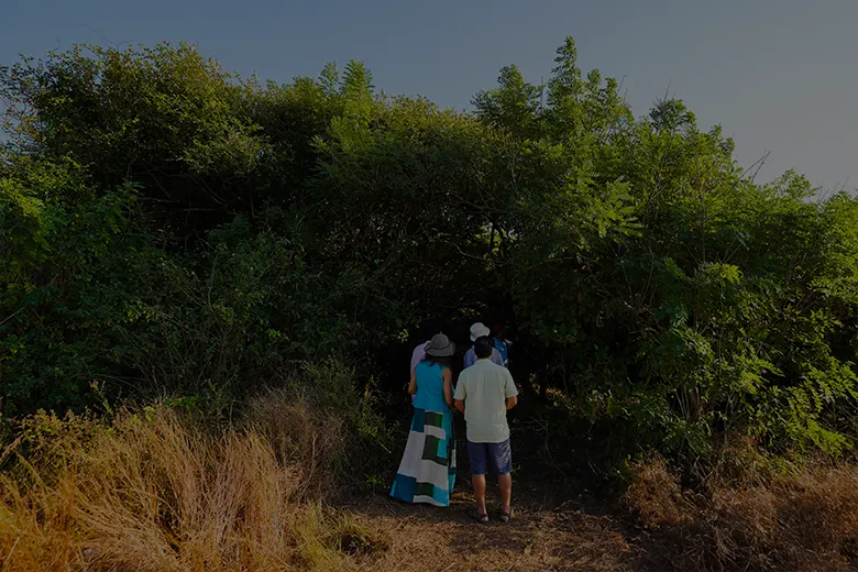 GB_RE_Roots_390x260